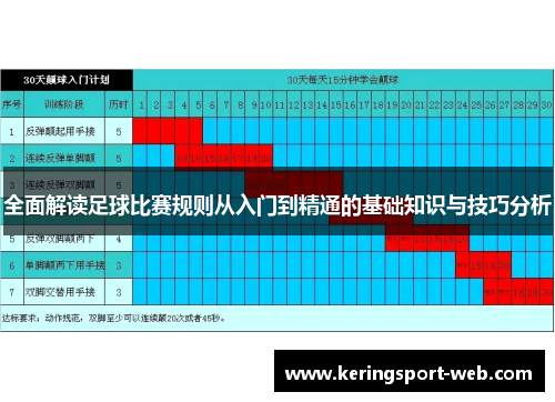 全面解读足球比赛规则从入门到精通的基础知识与技巧分析